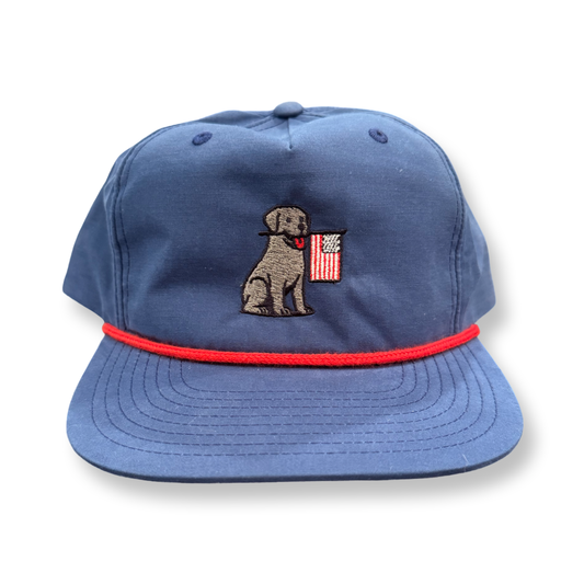 The Lottie - Black Lab