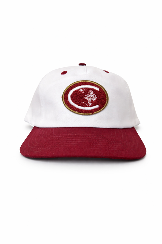 College of Charleston Retro Snapback